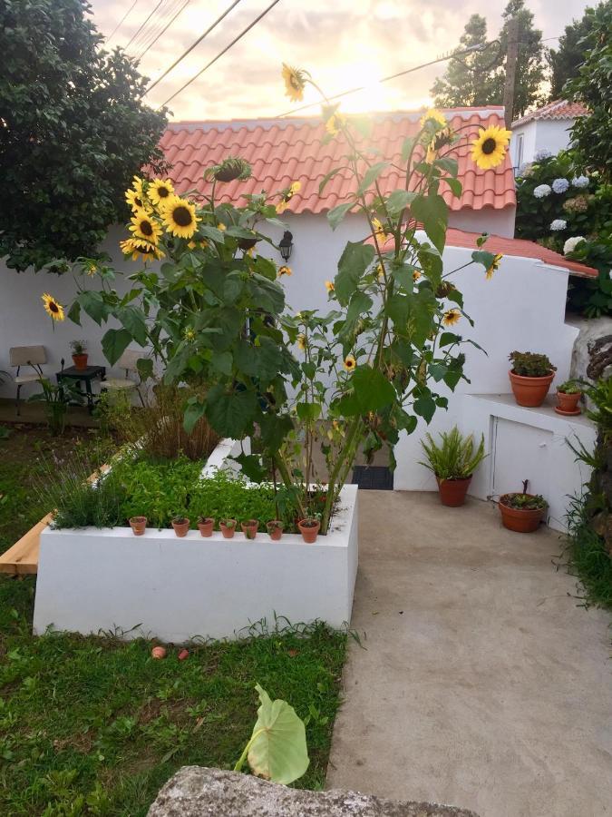 The Azores Homestead - Terceira Santa Barbara  ภายนอก รูปภาพ