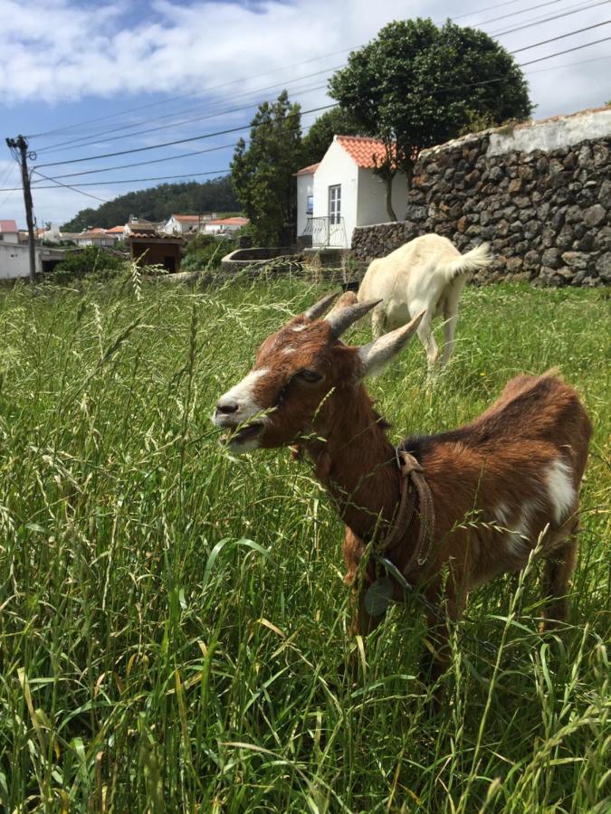 The Azores Homestead - Terceira Santa Barbara  ภายนอก รูปภาพ